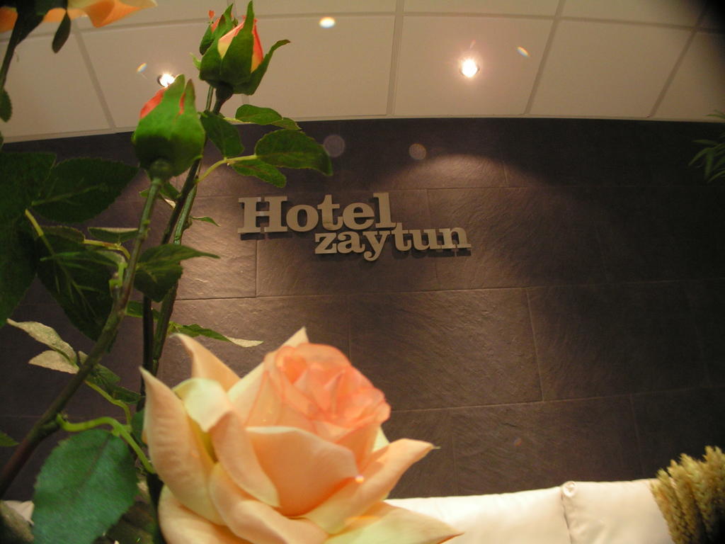 Hotel Zaytun Mequinenza Luaran gambar